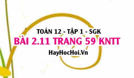 Bài 2.11 trang 59 Toán 12 tập 1 Kết nối tri thức
